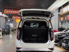 GAC Aion E9 Champion Edition - photo 6