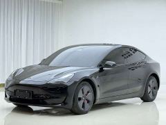 Tesla Model 3 Rear-Wheel Drive - ფოტო 1