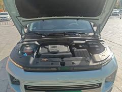 Geely ICON 1.5TD Qingyuan Limited Edition - ფოტო 19