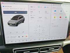 Li Auto L8 Pro - ფოტო 11