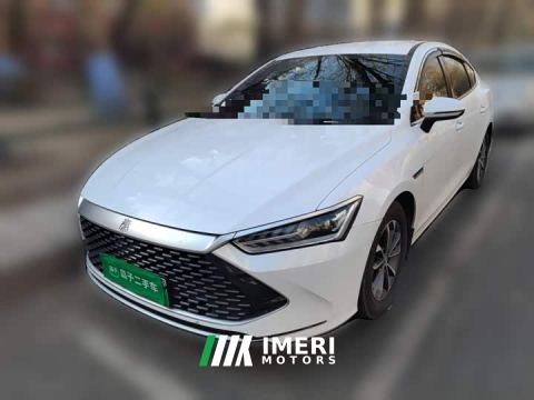 2023 BYD Qin PLUS Champion Edition DM-i 55KM Leading