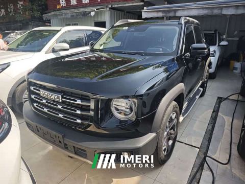 2022 Great Wall Dachshund 2.0T DCT Four-Wheel Drive Howling Celestial Dog Hunting Edition - ავტომობილი ჩინეთიდან