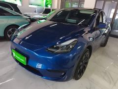 Tesla Model Y Rear-Wheel Drive - ფოტო 1