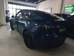 Tesla Model Y Rear-Wheel Drive - ფოტო 4