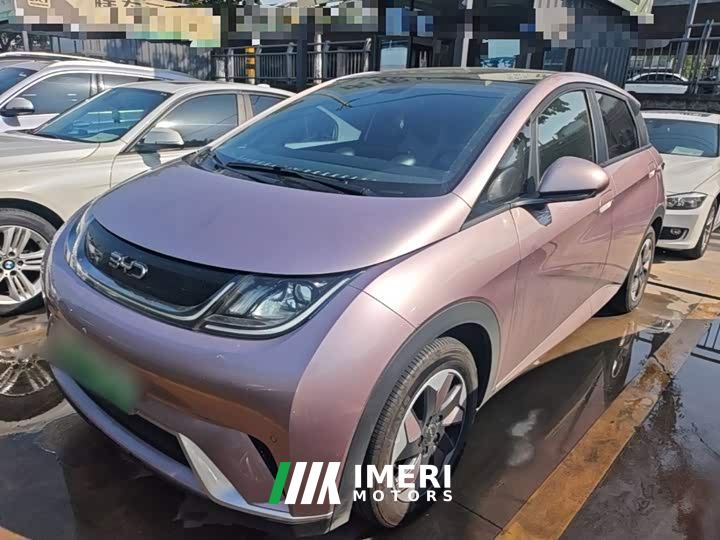 BYD Dolphin Glory Edition 420km Fashion Version