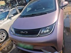 BYD Dolphin Glory Edition 420km Fashion Version - ფოტო 2