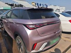 BYD Dolphin Glory Edition 420km Fashion Version - ფოტო 4
