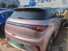 BYD Dolphin Glory Edition 420km Fashion Version - ფოტო 6