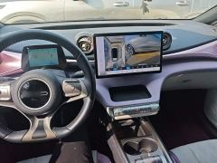 BYD Dolphin Glory Edition 420km Fashion Version - ფოტო 9