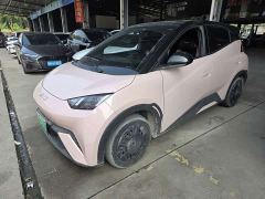 BYD Seagull Glory Edition 305km Vitality Version - ფოტო 1