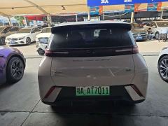 BYD Seagull Glory Edition 305km Vitality Version - ფოტო 14