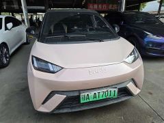 BYD Seagull Glory Edition 305km Vitality Version - ფოტო 19