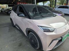 BYD Seagull Glory Edition 305km Vitality Version - ფოტო 20