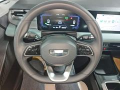 Geely Geometry E Firefly 301km Starlight - ფოტო 10