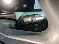Geely Geometry E Firefly 301km Starlight - ფოტო 13