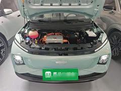 Geely Geometry E Firefly 301km Starlight - ფოტო 19