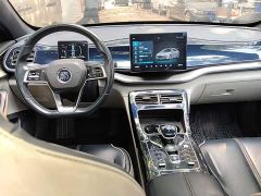 BYD Qin Plus DM-i 55KM Flagship - ფოტო 9