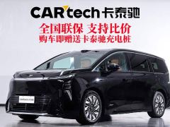 Buick Zhijing Shijia Luxury Edition - photo 1