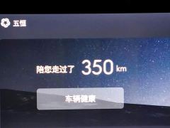 Buick Zhijing Shijia Luxury Edition - photo 16