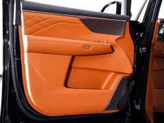 Buick Zhijing Shijia Luxury Edition - photo 17