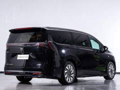 Buick Zhijing Shijia Luxury Edition - photo 8