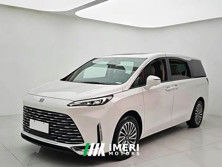 Buick GL8 New Energy Lusang Respect Edition - car from China