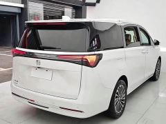 Buick GL8 New Energy Lusang Respect Edition - photo 20