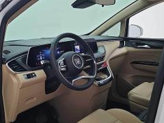 Buick GL8 New Energy Lusang Respect Edition - photo 4
