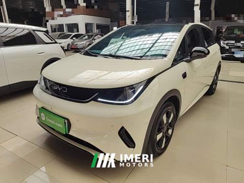 2025 BYD Dolphin Smart Drive 410km Fashion Edition