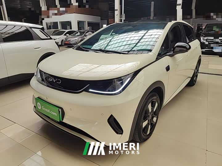BYD Dolphin Smart Drive 410km Fashion Edition