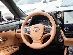 Lexus ES 300h Premium Edition - ფოტო 14