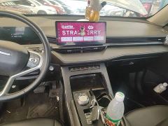 Haval H6 Third Generation 1.5T Automatic Two-Wheel Drive Pro - ფოტო 12