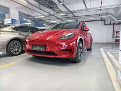 Tesla Model Y Rear-Wheel Drive - фото 1