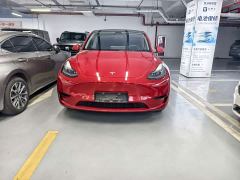 Tesla Model Y Rear-Wheel Drive - фото 2