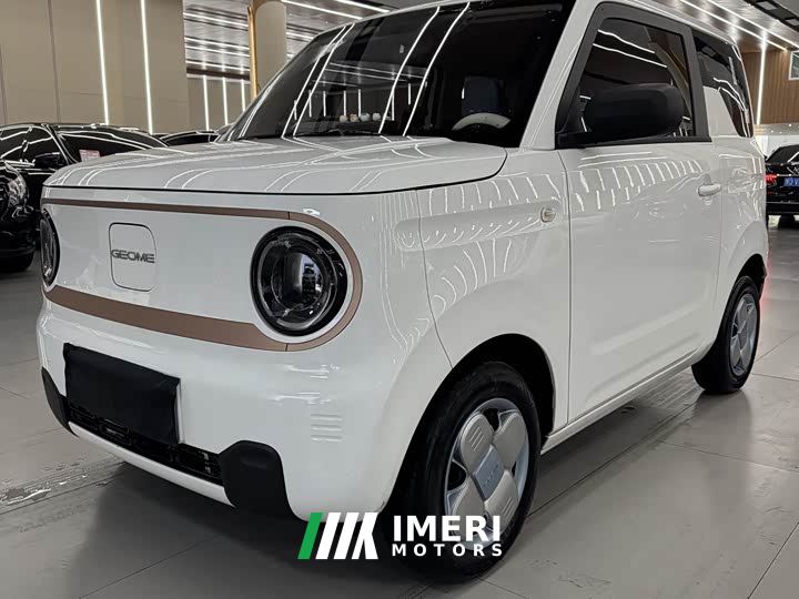 Geely Panda Mini 200km Endurance Edition - ავტომობილი ჩინეთიდან