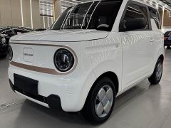 Geely Panda Mini 200km Endurance Edition - ფოტო 1