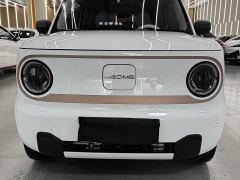 Geely Panda Mini 200km Endurance Edition - ფოტო 2
