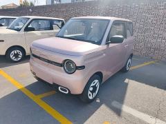 Geely Panda Mini 210km Vitality Edition - photo 1