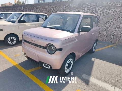 2026 Geely Panda Mini 210km Vitality Edition - car from China