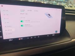 XPeng P7 480N - ფოტო 12