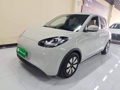 Wuling Binguo 333km Quick Enjoy Edition - фото 1