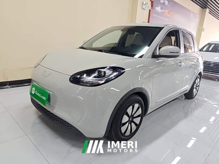 Wuling Binguo 333km Quick Enjoy Edition