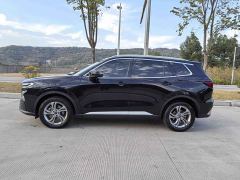 Ford Lingrui EcoBoost 170 Platinum Edition - ფოტო 3