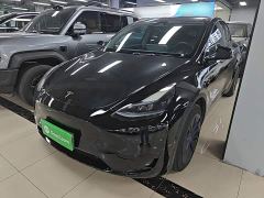 Tesla Model Y Rear-Wheel Drive - photo 1