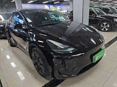 Tesla Model Y Rear-Wheel Drive - photo 3