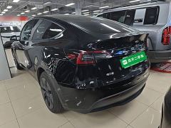 Tesla Model Y Rear-Wheel Drive - photo 4