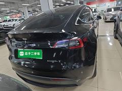 Tesla Model Y Rear-Wheel Drive - photo 5