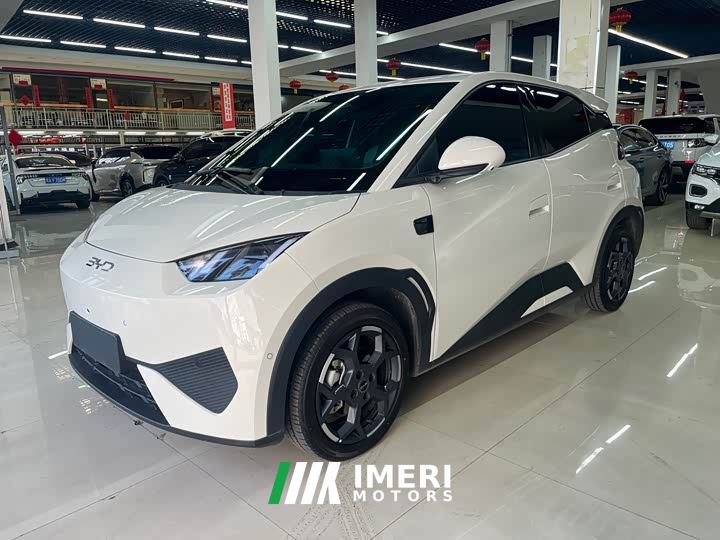 BYD Seagull Smart Driving Edition 305km Freedom Edition