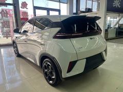 BYD Seagull Smart Driving Edition 305km Freedom Edition - фото 5