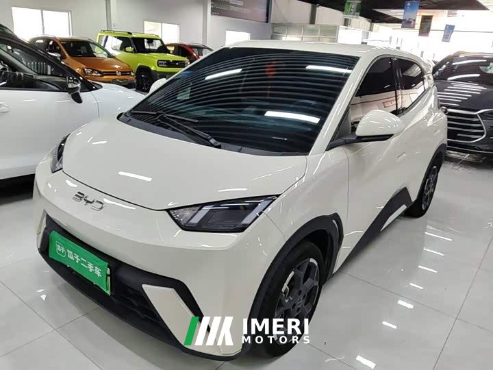 BYD Seagull Glory Edition 305km Freedom Version - ავტომობილი ჩინეთიდან